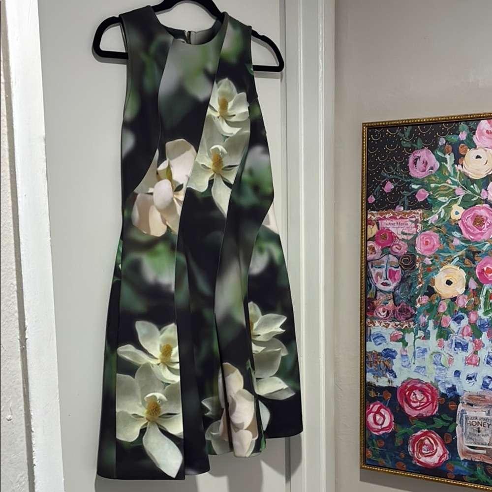 Ted Baker Floral Black and White Dress size 6-8 (3)